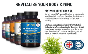 Prowise Healthcare - Prowise Vegan Omega-3 DHA from Algae Oil | 60 Softgels with