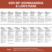 Load image into Gallery viewer, Prowise Healthcare - KSM-66 Ashwagandha and Lions Mane Tablets 2200 mg

